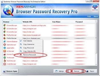 Complimentary access of Portable Browser Password Recovery Pro Go-ahead Book 3. 5